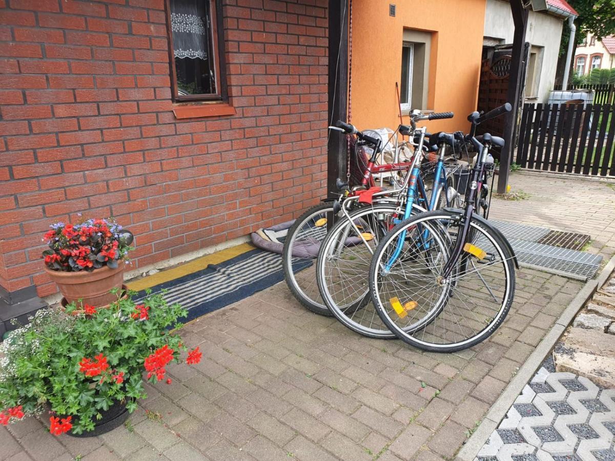 Apartment Udany Wypoczynek Wojanow
