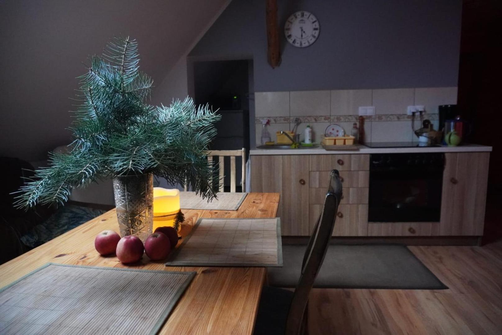 Udany Wypoczynek Apartment Wojanow